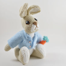 Load image into Gallery viewer, Peter Rabbit Crochet Toy