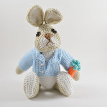 Load image into Gallery viewer, Peter Rabbit Crochet Toy