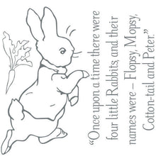 Load image into Gallery viewer, Peter Rabbit